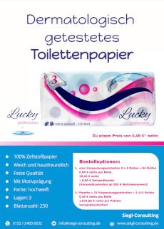 Beistpiel Flyer 1